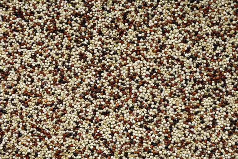 Quinoa